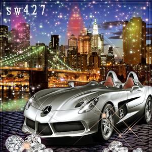 8'x8' SW427